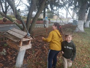 зображення Viber 2025 11 12 19 17 56 815