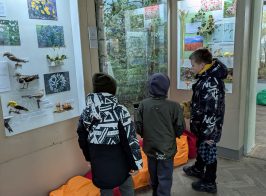 Pxl 20251203 103315259.mp