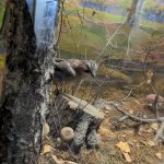 Pxl 20251203 103415506