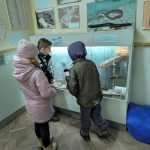 Pxl 20251203 103427183.mp