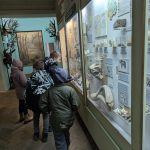 Pxl 20251203 103512555.mp