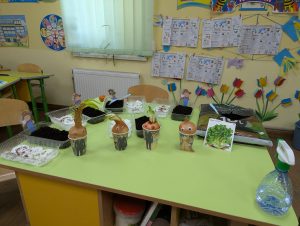 Pxl 20260313 072142440